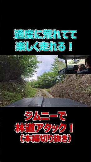 An easy and fun forest road! [Jimny Forest Road] (Excerpt from the main program) [Yu TV/YouTV]