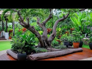 Vintage Rustic Garden Branch Builds: DIY Branch Hacks to Create Beautiful Recycled Plant Spaces