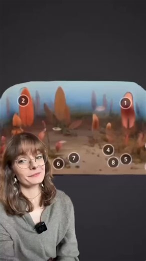 Dive in to the Ediacaran oceans with us to explore Strange Old Worlds! We gotta say, these ecosystems sure must have looked pretty alien 👽🪐🚀 These ancient mysteries would have Data all like “🕵🏻”… You can learn more about this Fossil Friday Feature at bit.ly/ediacaran-diorama, and don’t forget - we’ll be highlighting a different fossil from the Paleontological Research Institute’s (@museumoftheearth) 3D model collection each week! So be sure to tune back in next #FossilFriday for more 🦴 In 