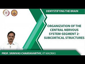 Organization of the Central Nervous System-Segment 2-Subcortical Structures