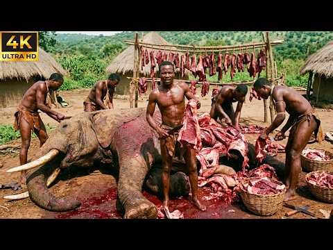 Hadzabe tribe hunting elephants: ancestral skills and cooking in the African wilderness