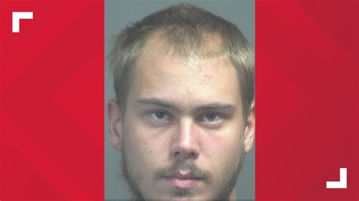 BCSO: 25-year-old man charged after stabbing, killing mom and cat