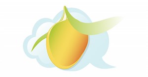 Success Services | Employee Communication Platform | MangoApps