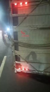 Caminhão carregado com bois e vacas tomba no Anel Rodoviário de BH No final da noite de ontem (09/07), um caminhão carregado com bois e vacas tombou no Anel Rodoviário, na altura do KM 542, Olhos D'água, em Belo Horizonte. Os bombeiros foram acionados para atuação no local. Foi feito o corte da estrutura do veículo para não ferir e não estressar os animais. Além do trabalho de salvamento dos animais, os militares também se preocuparam com o isolamento do local, para que após a retirada, os anima