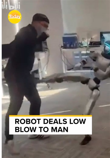 Understanding Humorous Situations in Everyday Life