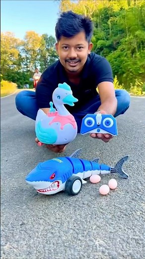 Remote control Shark 🦈