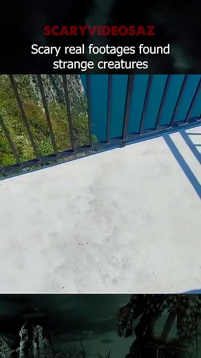 Scary videos on TikTok