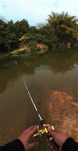 Exploring the Lonngze B51MC UL Glass Fishing Rod