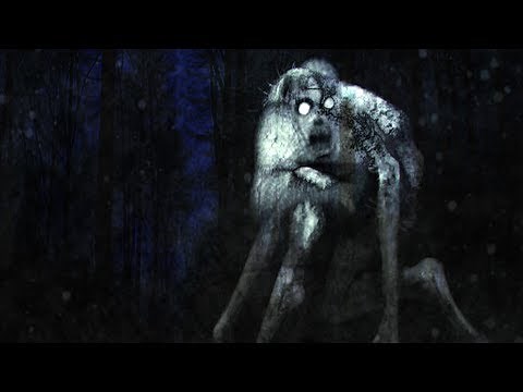 Everything you need to know about skinwalkers