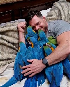 11M views · 10K reactions | These parrots love their bed time tradition 殺列 | Lessons Learned In Life | Facebook
