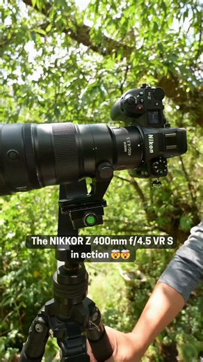 100K views · 2.3K reactions | When your lens is so good, you can see the hummingbird’s hustle. That's the power of our smallest, lightest 400mm prime lens!  Shot by Steve Sánchez Wildlife Photography. | Nikon | Facebook