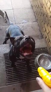 Putting my water gun to good use 󾭞 | Jasmin Ashley Larkan