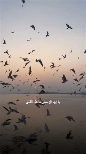 #newmusic #music #تلاوة_خاشعة #القران #اكسبلور #لايك #لايك #المصحف #ترند #الرحمن #تصويري #الطحان