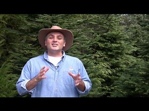 Basic Beekeeping DVD www.WorldOfBeekeeping.com