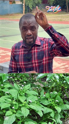 293K views · 5.3K reactions | How stop ✋ prostate enlargement #viralvideoシ #foryou #trendingvideo #prostate | Secrets of Health | Facebook