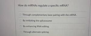 How do miRNAs regulate a specific mRNA?Through complementary b... | Filo