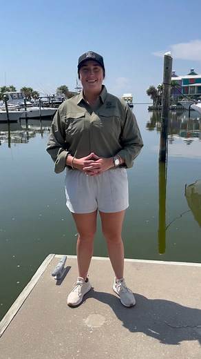 🎣 Exciting News for Louisiana Anglers! Starting Monday, August 19th at 12:01 a.m., Red Snapper Season will reopen to 7 days a week! The season will remain open until further notice! 🌟 LDWF estimates that Louisiana’s remaining quota will allow the season to remain open through Labor Day weekend, possibly beyond. The daily bag limit remains at **four fish per angler.** Latest landing estimates indicate that 80% of Louisiana's 2024 Red Snapper quota has been harvested so far. 🔗 Full details: htt