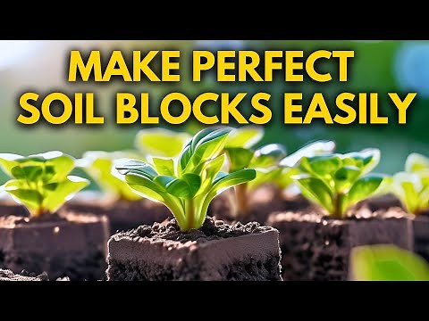 The BEST Way to Start Seedlings | How to make Soil Blocks