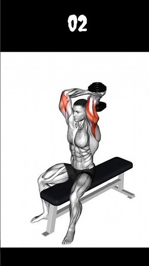Best Triceps Exercises With Dumbbells ⚡📈