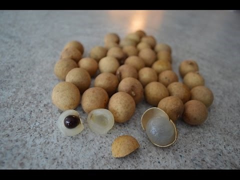 How to Prepare & Eat Longan Fruit: Cooking with Kimberly