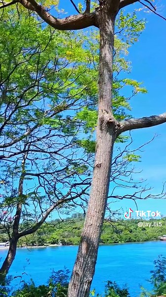 Discover the Beauty of Solano Island in PNG