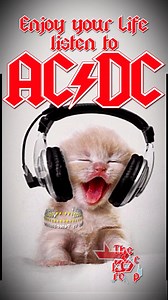 339K views · 8.4K reactions | #acdc #rock #concert #rocknroll gone shootin‘ | Peter Steinbach | Facebook