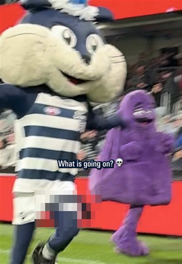 Half Cat’s birthday got out of hand real quick 😭🙏 #afl | cat