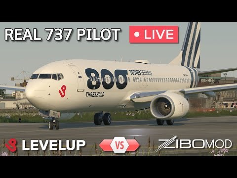 Level UP 737-800 NG / ZIBO MOD Comparison | REAL 737 Pilot LIVE | X-Plane 11
