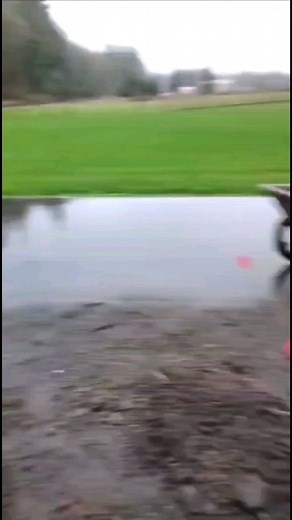 Finished installing bullet paver edging for this yard. clean finish and a very happy client. #bellinghamwa #whatcomcounty #landscape | Montes Lawn Care & Landscape, LLC