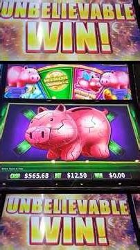 🚨EPIC NEW PIGGY BANKIN FULL SCREEN! I WAS SPEECHLESS ‪@DelawareParkCasino‬ #slot #shorts