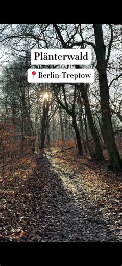 Entdecke die Natur in Berlin: Plänterwald und Teufelssee
