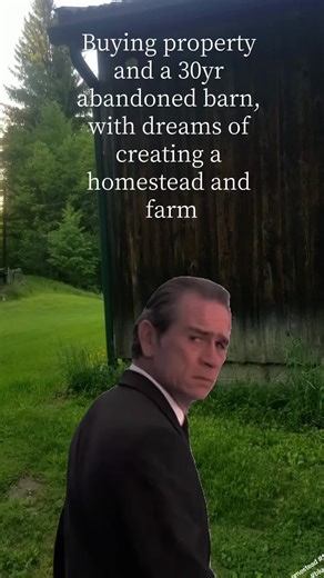 We bought an old basically abandoned farm with this barn and have spent the past year working on turning it into a home. should of torn down and started fresh at this point, but love the old barn look #Meme #MemeCut #CapCut #homesteading #homestead #farmlife #farmtok #hardwork #bluecollar #work #worklife #country #countrylifestyle #chicken #goat #goatsoftiktok #diy #keepgrinding #build #farm #barntohouse #barndominium #barn