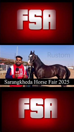 Sarangkheda Horse Fair 2025 - Series Starts Tomorrow on FSA