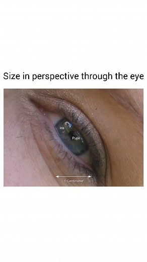 Biology on Instagram: "Size comparison. Eye To DNA Source | link. https://youtu.be/8Are9dDbW24?si=Nvjo5NVJCsztyo02 #microbiology #microlife #universeinsideyou #biology #retinareview"