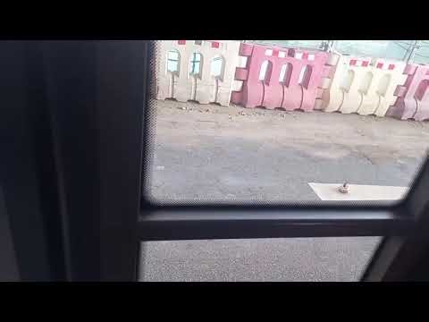 龍運巴士S1線 LWB Bus 男司機 行車片段