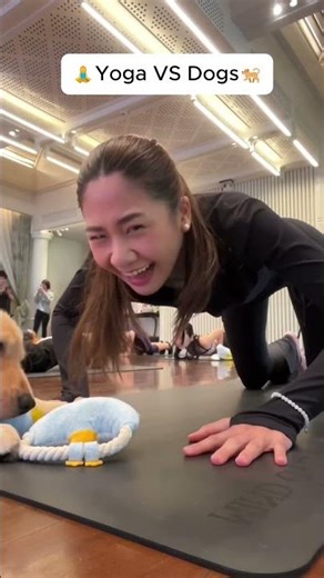 Yoga Sessions Ruined by Adorable Dogs #funnydogs #yoga #shorts