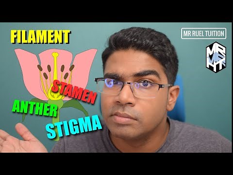 Structure of a Flower