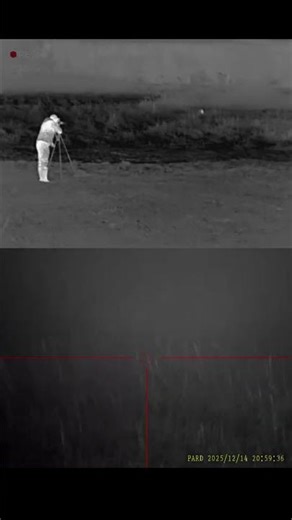 Wild boar hunting night vision and thermal imaging #hunting #nightvision #mossberg #pard