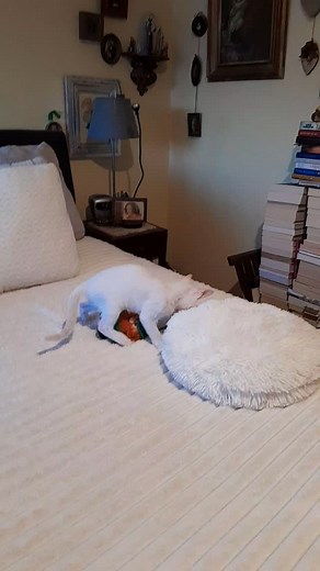 Bom dia!!! 💚 | Ana Duarte