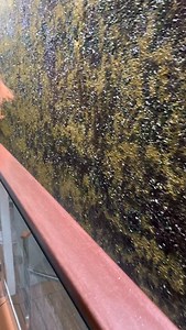 7.4K views · 890 reactions | POV: Viking Cruises Hermod river longboat ship going through a narrow lock in France. Some locks only have about 20 cm of clearance on each side. #rivercruise #vikingcruises #lock #tightsqueeze #soclose #longboat #tooclose #ohno | Cruiseguru | Facebook