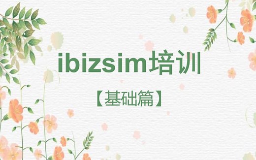 ibizsim入门基础培训