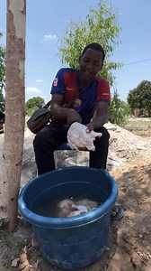 1.2K views · 388 reactions | Vamos comer frangos | Assane José | Facebook