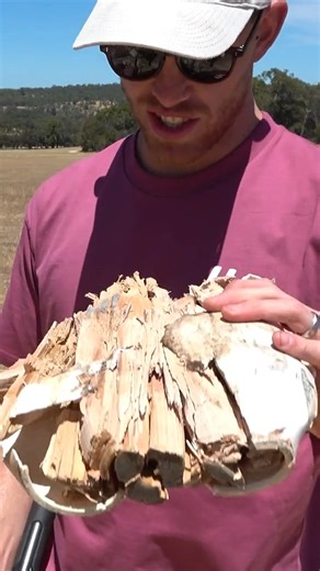 Giant Hammer Vs Bowling Pins #challenge #games #game #videochallenge #videoviral #videos #reelsfb #reelsfacebook #reelstrending #usa #newsupdate | FYP FILM