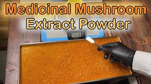 This video will teach you the correct way to make a dual extract powder from any medicinal mushroom you want. I really wanted to make this video because of all the confusion surrounding medicinal mushroom extracts. The only other videos i can find on the subject are incomplete or result in an end product that contains a filler agent such as rice powder. I hope this video will clear some of that confusion and enable as many people as possible to make the best medicinal mushroom extracts for their