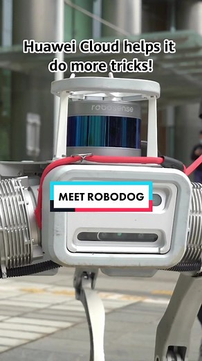 Meet RoboDog - The Ultimate Tech Innovation