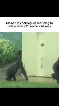 ME and My Colleagues Returning to Officr After a 2 Hour Lunch Break
