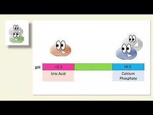 Urinary Alkalinization for Kidney Stones