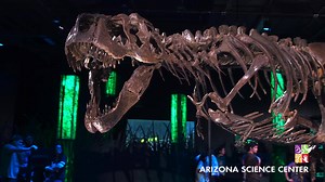 27K views · 227 reactions |  World Premiere Exhibition | Now Open 練Come face-to-face with the most engaging T. rex exhibition ever to tour the globe 練Meet Victoria & experience the awe-inspiring exhibition at Arizona Science Center 練Learn about Victoria’s discovery, preservation & ongoing research ❗Limited time only. Advance purchase is highly recommended. | Arizona Science Center | Facebook