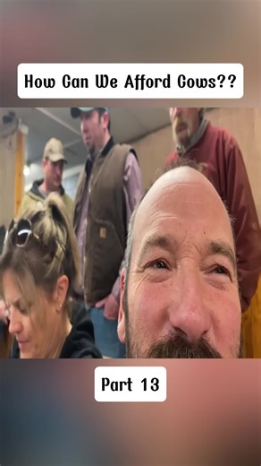 Affording Cows on a DIY Farm