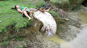 155K views · 3.4K reactions | Survival Skills: Smart Girl's Fishing Dig Deep Hole Catch Big Catfish - Unique Fishing © Copyright by Primitive Cooking KT | Primitive Cooking KT | Facebook